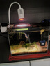 尼特利水族时光变焦射灯南美原生溪流led鱼缸灯蓝牙智控植物补光观赏灯 水族时光射灯 (蓝牙版) 晒单实拍图