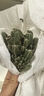 简诗多肉植物盆栽肉办公室内桌面新手小套餐绿植花卉仙人掌带盆diy景 3颗多肉+盆+木托；植物可选择 实拍图