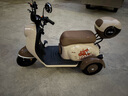 凤凰（Phoenix）甲壳虫电动车三轮车小型家用电动摩托车成人休闲三轮小电动车 500W+60V24A黑金+续航约50公里 实拍图