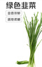 绿色韭菜250g 实拍图