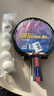 红双喜SH横直对拍01初学者训练比赛乒乓球拍横直套装+乒乓球 实拍图