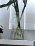 吕姆克花瓶玻璃现代简约田园家居花瓶摆件餐厅客厅桌面装饰冷纹花器5258 实拍图