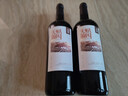 长城  天赋酒庄 宁夏贺兰山东麓 赤霞珠梅鹿辄干红葡萄酒 750ml单瓶装 实拍图