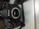 尼康（Nikon） D7200 升级版 D7500 数码单反相机 套机 d7500 进阶版单反套机 D7500 单机身-无镜头（不赠UV，CPL） 实拍图