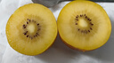 佳沛（zespri）新西兰  阳光金奇异果10粒礼盒巨大果单果约144-175g 水果 猕猴桃 实拍图
