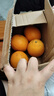 【热销】湖北秭归脐橙鲜果上市 带箱2斤55-60mm 实拍图