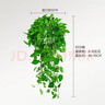 双盟绿萝盆栽除甲醛花卉绿植办公室新房净化空气160白1盆源头直发 实拍图