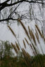 适马（SIGMA）56mm F1.4 DC DN｜Contemporary 半画幅大光圈定焦镜头 人像特写（适马56 f1.4索尼E卡口） 实拍图