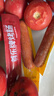 尊乐原味香肠薯薯乐360g（香肠200g+土豆160g） 烤肠零食香肠火锅食材 实拍图