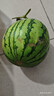 京鲜生 无籽麒麟大西瓜 1粒装 7-9斤 生鲜水果 实拍图