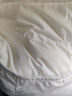 雪中飞羽绒内胆女轻薄羽绒服女短款新款内搭外穿修身 白色 L (165) 实拍图