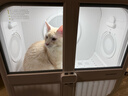 霍曼宠物智能烘干箱UItra 狗狗全自动吹干箱吹干机猫咪洗澡烘干机低噪 实拍图