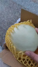 京鲜生 玉菇甜瓜 2粒装 单果重2-2.8斤净重4-5.5斤 生鲜水果礼盒 实拍图