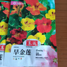 【亏本冲量】当季新种旱金莲种子垂吊旱荷花籽草种乌金莲花籽四季 旱金莲种子/包约30粒 3包 实拍图