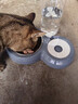甜浪海猫碗双碗自动喂食器不锈钢狗盆幼猫吃饭喝水防打翻饮水机宠物食盆 实拍图