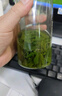 贡苑2025头采新茶小叶苦丁茶260g 峨眉山明前嫩芽降特优级花草茶 实拍图