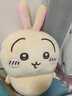 名创优品（MINISO）chiikawa大号站姿公仔毛绒玩偶玩具抱枕靠枕生日礼物女 乌萨奇 实拍图
