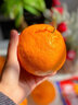四叔公果蔬四川春见耙耙柑【闪送】粑粑柑橘子桔子丑橘新鲜应季水果礼盒礼品 【黄金酸甜比】15A老树果王｜单果85-100mm 【限定·尊享礼盒】6枚装｜颗颗臻选 实拍图