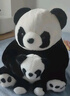 熊猫熊小熊猫玩偶儿童毛绒玩具娃娃花花大公仔生日礼物陪睡布娃娃抱抱熊 实拍图
