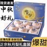 甜萌果蔬山东秋月梨 新鲜水果冰糖梨 送人送礼当季水果年货送礼盒 5斤精选装【单果约350g+】净重4.5斤 实拍图
