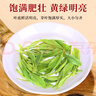 一杯香茶叶绿茶正宗明前黄山毛峰500g2025新茶礼盒装送礼自己喝袋装自饮 实拍图