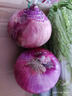 新生紫皮洋葱生吃脆甜应季新下鲜红洋葱蔬菜超市新款 新鲜红洋葱 5斤 实拍图