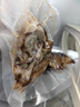 得力 抽真空保鲜包装机真空机家用商用配套食品真空包装封口袋安全食品级材质15*20CM/50片升级款14916 实拍图