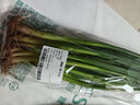 蘸酱小葱100g 实拍图