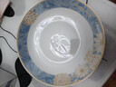 浩雅24头碗碟套装景德镇陶瓷餐具套装碗盘碗碟盘餐具套装时光漫步 实拍图