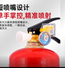神龙25年新国标干粉灭火器1kg 商用物业车载家用消防器材 MF/ABCE1 实拍图