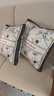 美式抱枕轻奢高级感沙发客厅靠垫靠枕床头大号靠背大抱枕套不含芯 芳芷 45x45cm【枕套+枕芯】 实拍图