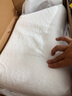 邓禄普（Dunlopillo）ECO蝶型枕 斯里兰卡进口天然乳胶枕头 颈椎枕  实拍图