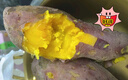 京鲜生 山东 白蜜红薯 白哈蜜 蜜薯 5斤 新鲜蔬菜 实拍图