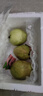 京觅福建软双拼芭乐净重350g 2红1白 3粒装 番石榴 源头直发 实拍图