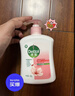 滴露（Dettol）洗手液消毒抑菌滋润500g+500g补充装儿童家庭护手替换 实拍图