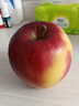 京鲜生 新西兰皇后红玫瑰苹果12粒礼盒特级果单果130-170g 水果礼盒 实拍图