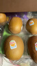 佳沛（zespri）新西兰  阳光金奇异果10粒礼盒巨大果单果约144-175g 水果 猕猴桃 实拍图