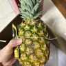 佳农 黑钻菠萝1粒装 菲律宾凤梨 净重2斤起 生鲜水果 源头直发 包邮 实拍图