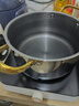 九阳（Joyoung）电磁炉电陶炉迷你家用电磁灶电池炉火锅炉旋钮控制2100W大功率一体小型火锅炉C22S-N531单机版 实拍图