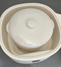 九阳（Joyoung）电炖盅 电炖锅 隔水炖煮 家用煮粥煲汤锅燕窝炖盅4.5L白瓷内胆炖汤锅上蒸下炖DG25G-GD188 实拍图