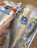 三都港 宁德鲜冻原条黄花鱼净重2斤/2条 宁德大黄鱼 生鲜 实拍图