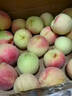 格沃斯（GEWOSI）【顺丰快递】山东青州蜜桃桃子新鲜脆桃青桃硬桃孕妇脆甜现摘 5斤精品果 实拍图
