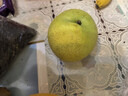 京鲜生安徽砀山新玉冰糖梨 4.5斤装 单果250g+ 生鲜水果源头直发 实拍图
