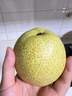 京地达梨砀山翠玉梨翠冠梨香梨子水果净重4.8斤单果250g+源头直发 实拍图