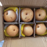 壹萌果蔬正宗山东冰糖梨脆甜当季新鲜秋季月丰水梨水果中秋送礼整箱发出 5斤臻品果【单果300g+】净4.5斤 实拍图