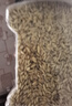 首粮东北有机燕麦米2.04斤罐装 麦仁米 富含膳食纤维 五谷杂粮粗粮米  实拍图