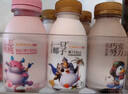 光明一只椰子椰汁奶大白兔奶糖牛奶巧克努力含乳饮品250ml/瓶低温饮品 巧克努力250ml*8瓶 实拍图