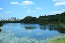 永诺 YN50mm F1.8II 二代佳能单反卡口标准定焦大光圈全画幅人像镜头 黑壳 实拍图
