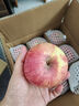 西域美农正宗陕西洛川红富士苹果2025年新果4.5斤250g+ 脆甜新鲜 源头直发 实拍图
