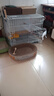 憨憨乐园猫玩具逗猫棒猫咪棒长杆羽毛钓幼猫玩具鱼竿铃铛耐玩逗猫神器用品 实拍图